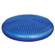 Stability Cushion Balance Pad (Balance Disc)