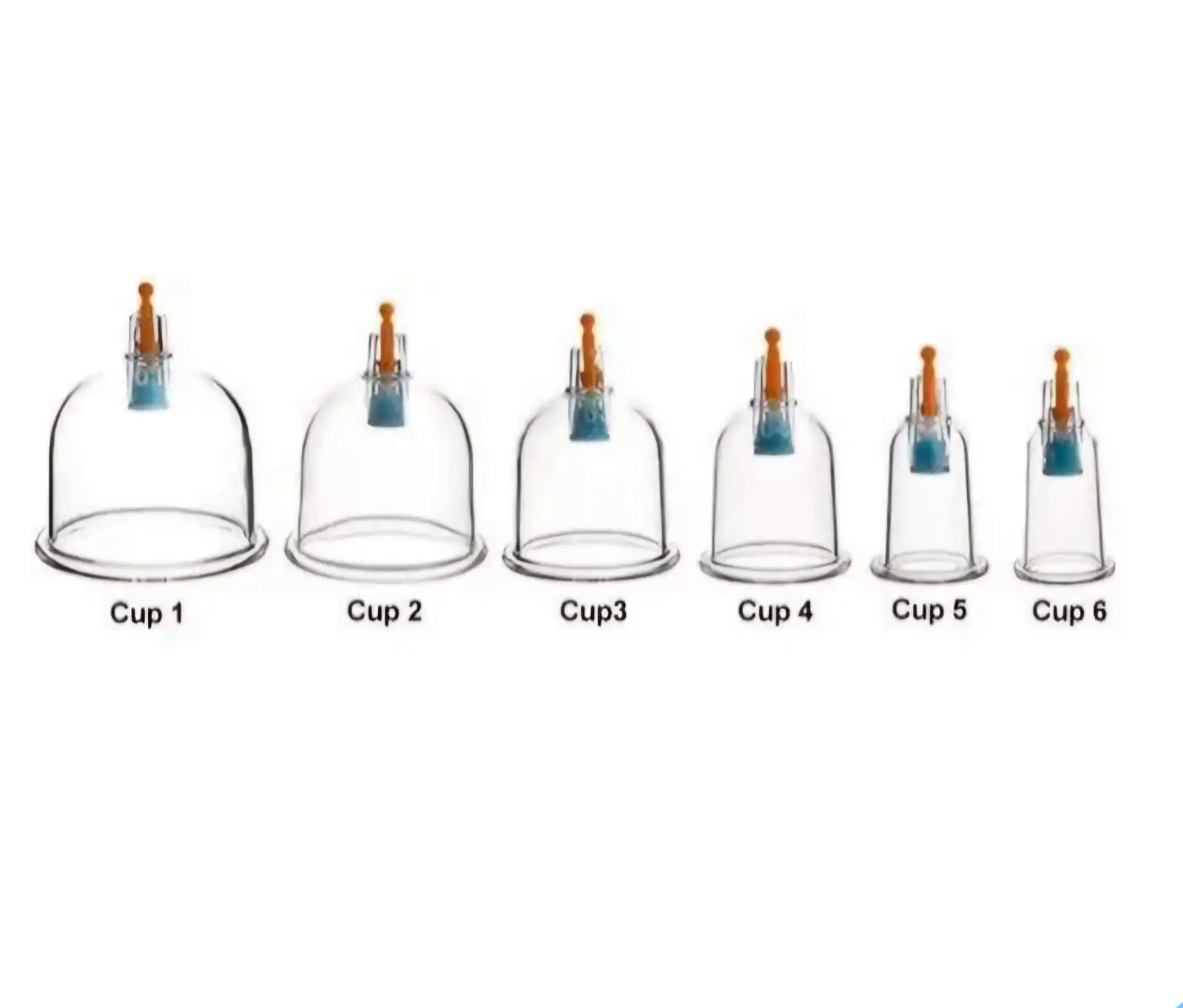 Hijama Cup # 5